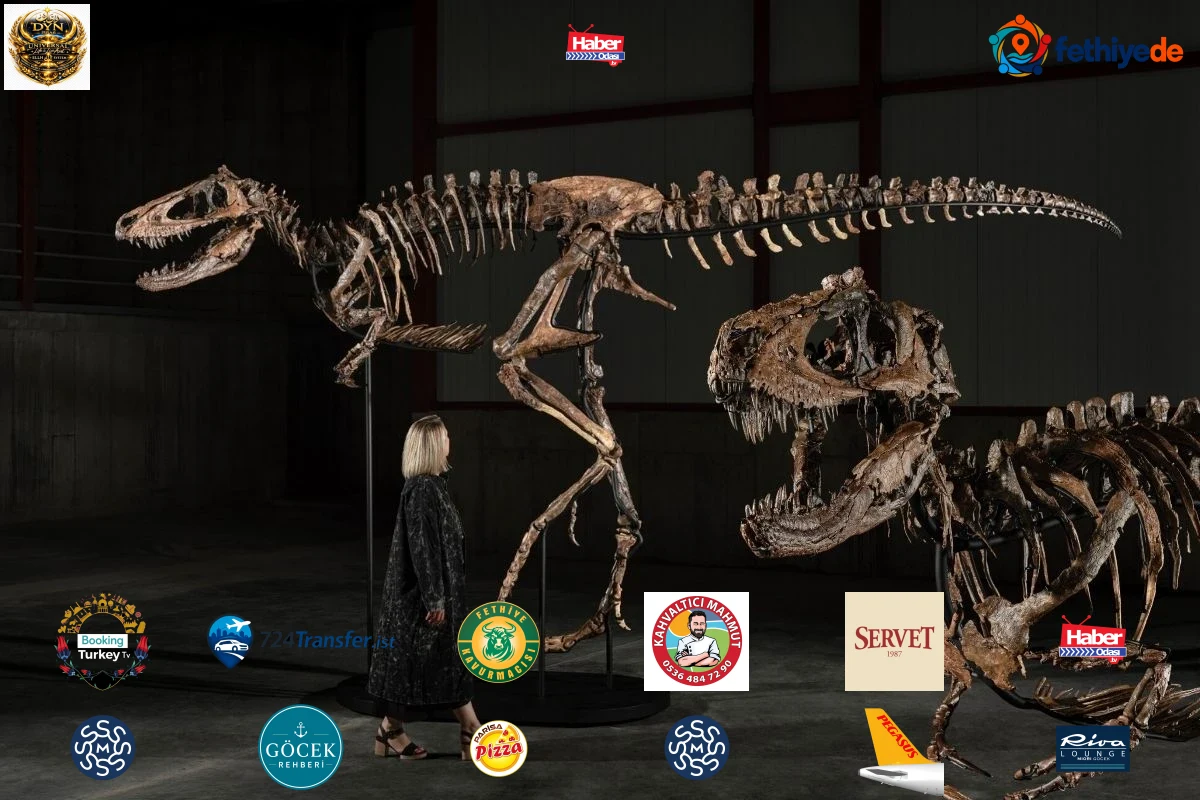 Milyarderlerin yeni gözdesi fosiller oldu, 67 milyon yıllık dinozor Jodi 47.3 milyon dolara satıldı