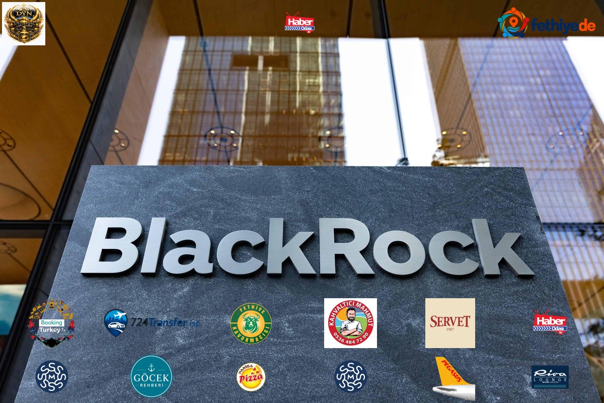 BlackRock'tan Japonya'da stablecoin ortaklığı