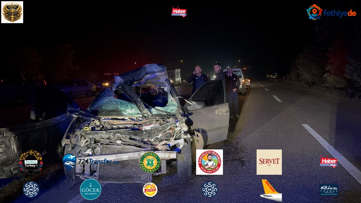 Kastamonu Taşköprü'de büyükbaşa çarpan otomobilin sürücüsü öldü, hayvan telef oldu