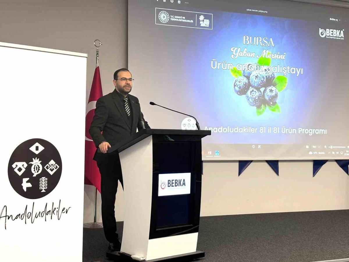 BEBKA çalıştayının çıktıları Bursa yaban mersinine yol haritası olacak