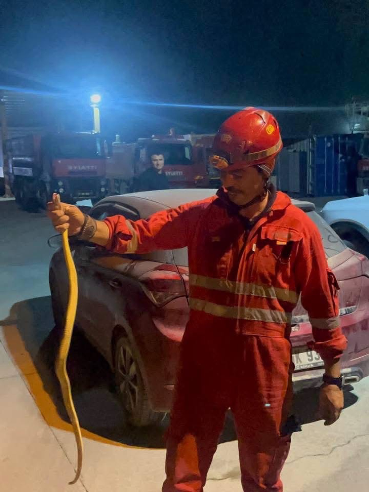 Hatay Antakya'da itfaiye istasyonuna gelen araçtaki yılan yakalanıp doğaya bırakıldı