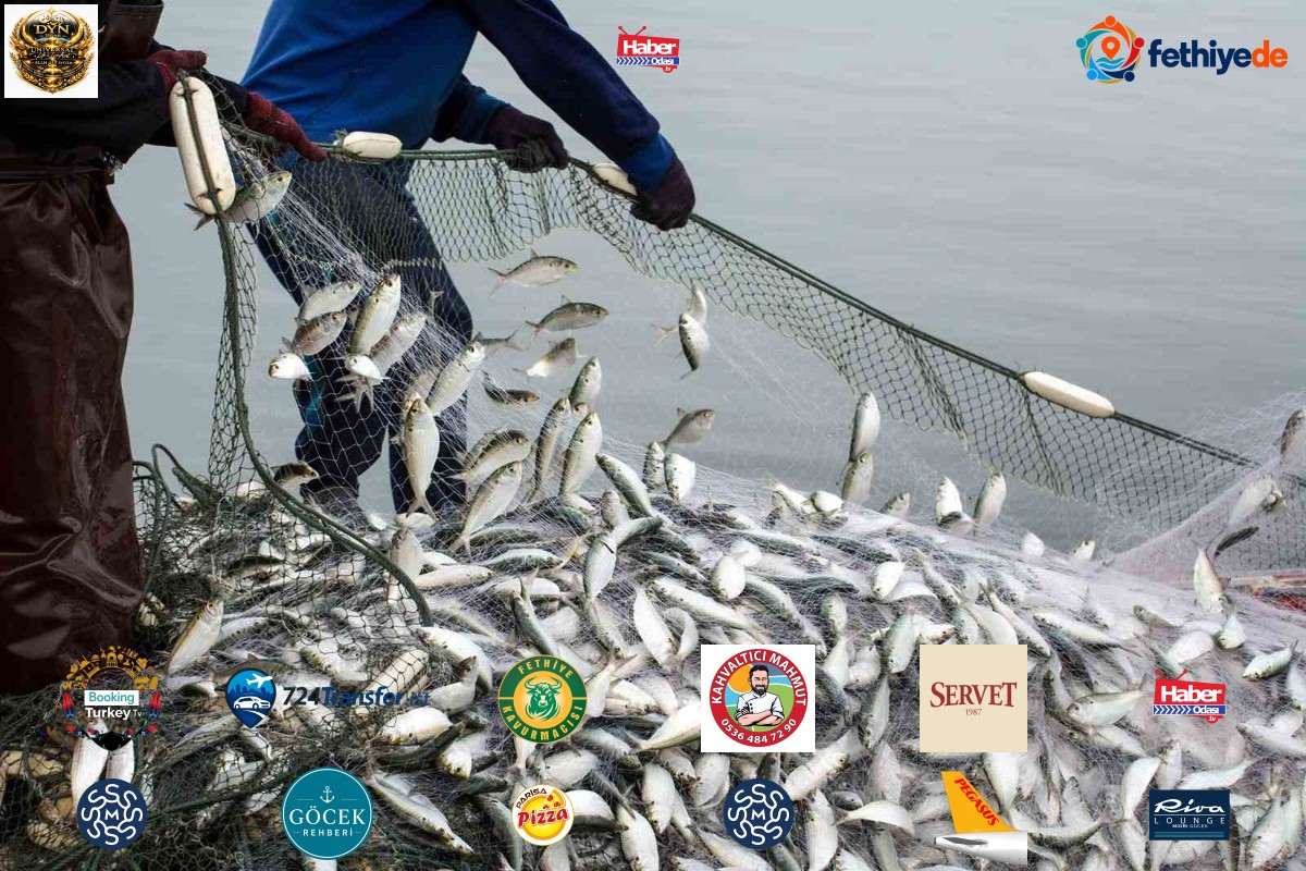 Muğla'da Eylül ihracatı yüzde 8,9 artışla 146 milyon 800 bin 349 dolara ulaştı