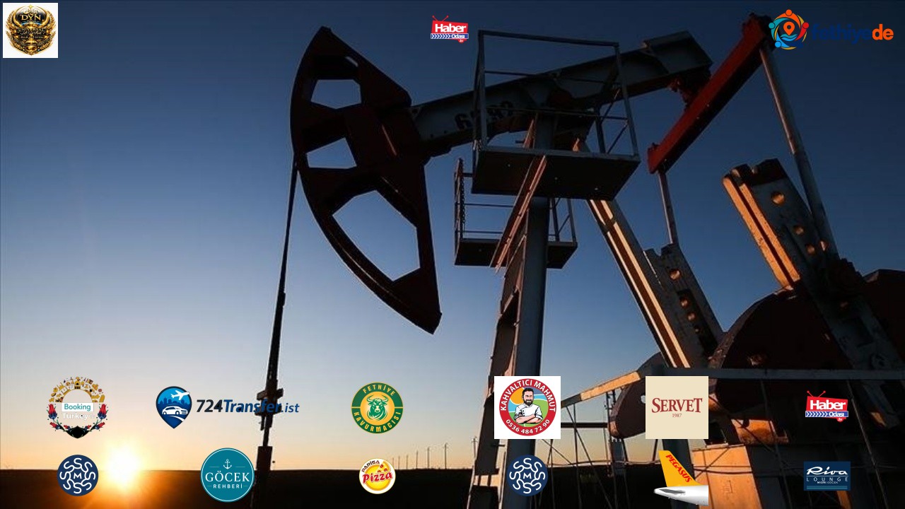 Enerji ithalatı faturası yüzde 49,3 arttı