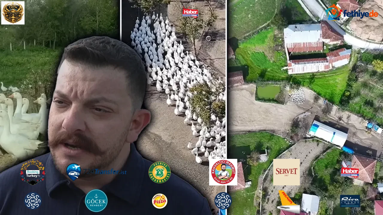 Samsun’da 50 kazla başladı, şimdi çiftliği var! 2027’de kooperatif kuracak