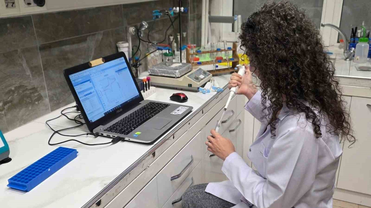 KBÜ akademisyeni çeltik kavuzundan gübre geliştirilecek TÜBİTAK projesinde görev aldı