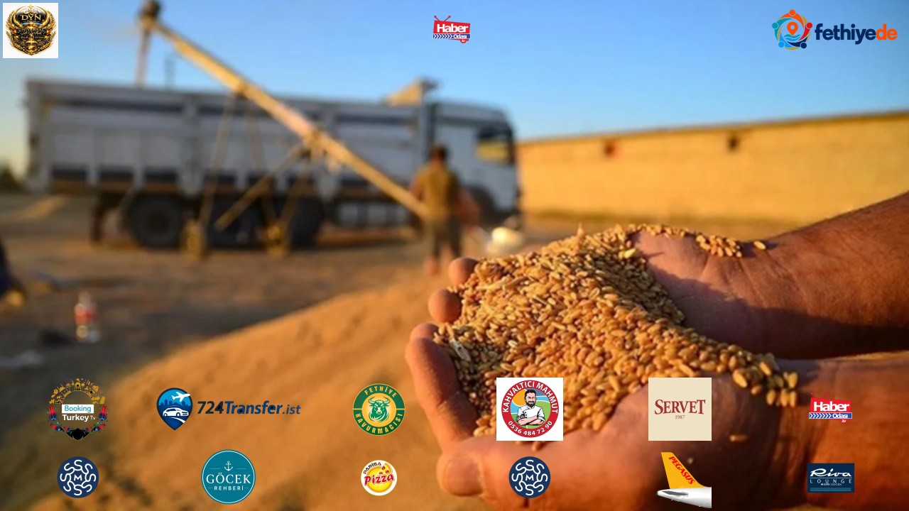 TİGEM, buğday, arpa ve narenciye satacak