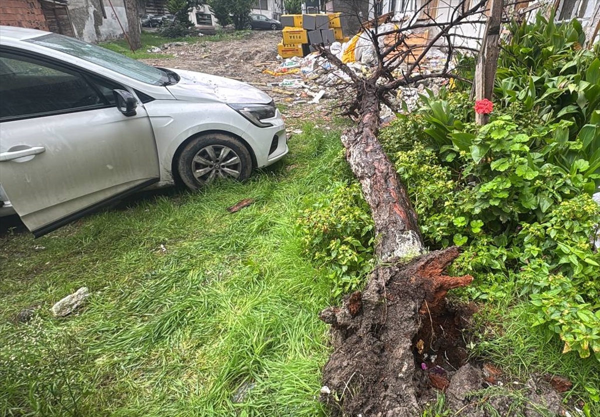 Bağcılar'da yağış ve rüzgarın devirdiği ağaç park halindeki otomobile hasar verdi