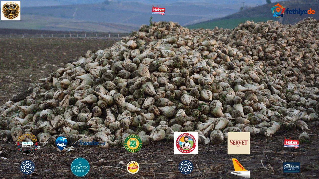 Çorumlu çiftçinin kazanç açıklaması gündem oldu: Dönümünden 25 bin lira kâr