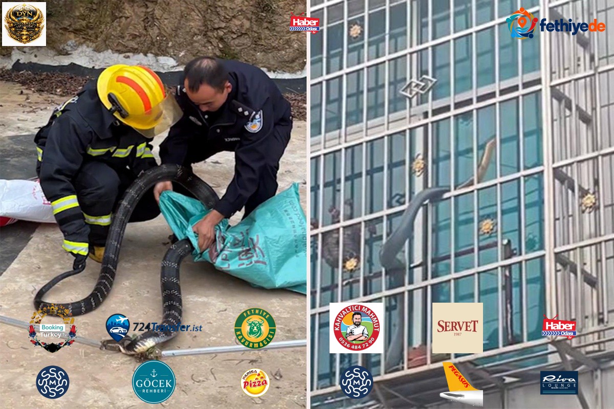 Çin'de korku dolu anlar! Pencerenin önünden geçen dev yılan kamerada