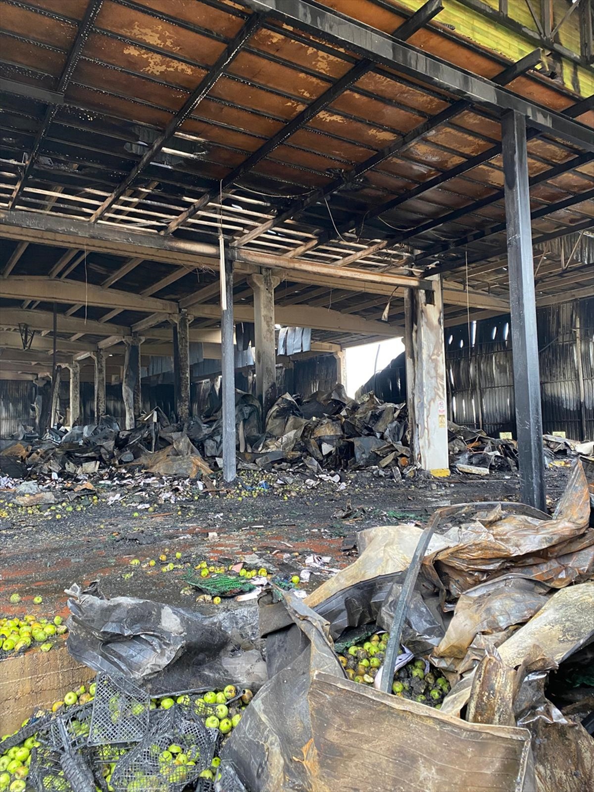 Bursa İznik'te soğuk hava deposu yangını 18 itfaiye aracıyla kontrol altına alındı