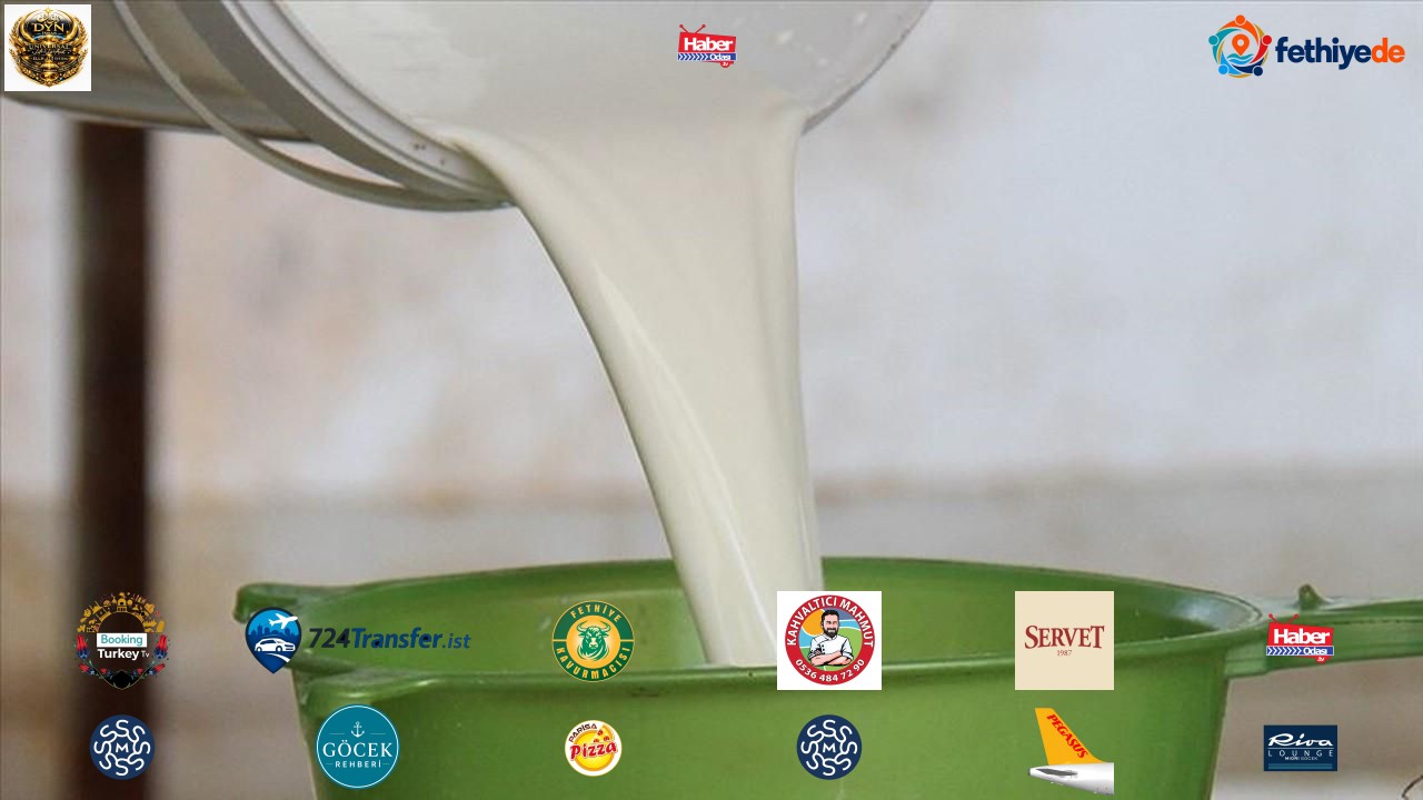 Litrede 5 lira zarar eden süt üreticisi acil referans fiyat bekliyor