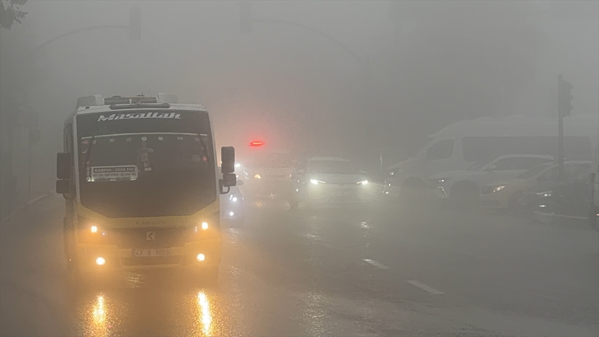 Mardin Artuklu'da yoğun sis görüş mesafesini yer yer 15 metreye düşürdü