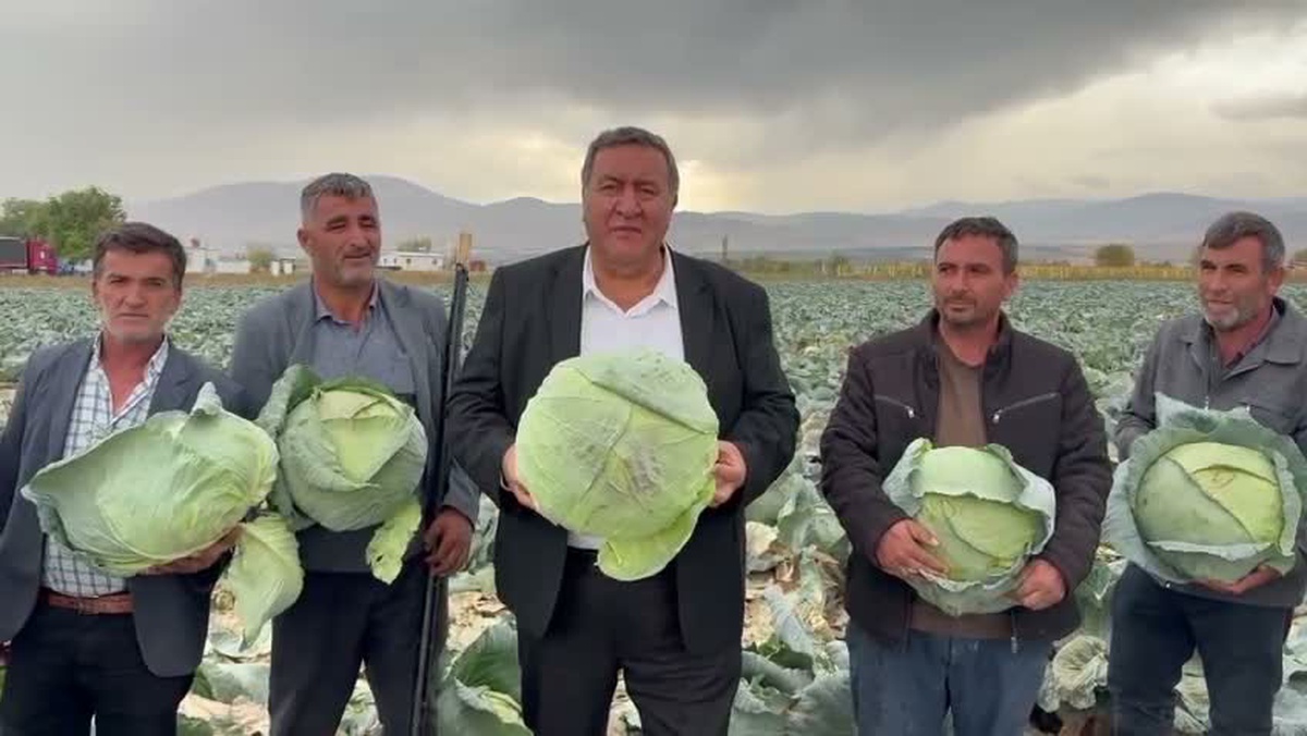 CHP'li Gürer, Niğde'de lahananın 30-35 liraya alıcı bulmakta zorlandığını söyledi