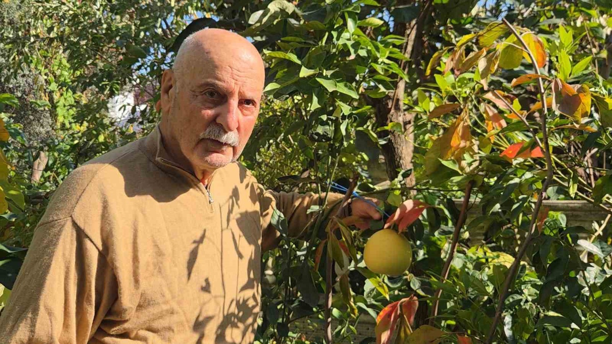 Samsun'da emekli öğretmen 50 ülkeden çekirdeklerle 200 meyve çeşidi yetiştirdi