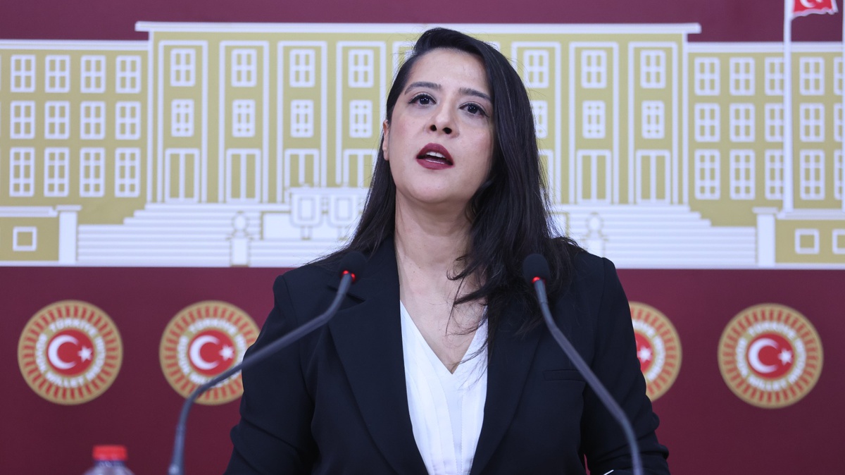 Karaca, Diyarbakır Sur'da 540 dönümden fazla meranın GES'e tahsisini TBMM'ye taşıdı