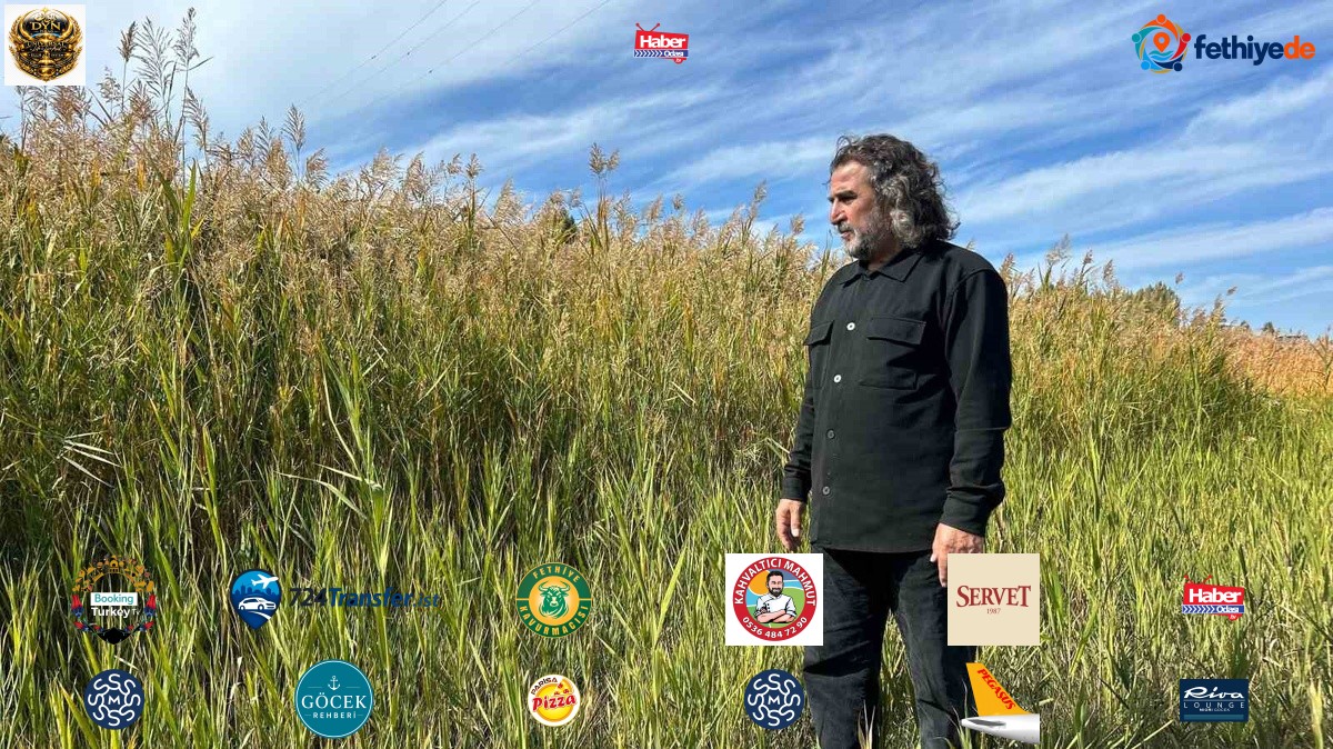 Van Gölü Havzası'nda 2026 yağışları sazlıkları canlandırdı, yangınlar azaldı