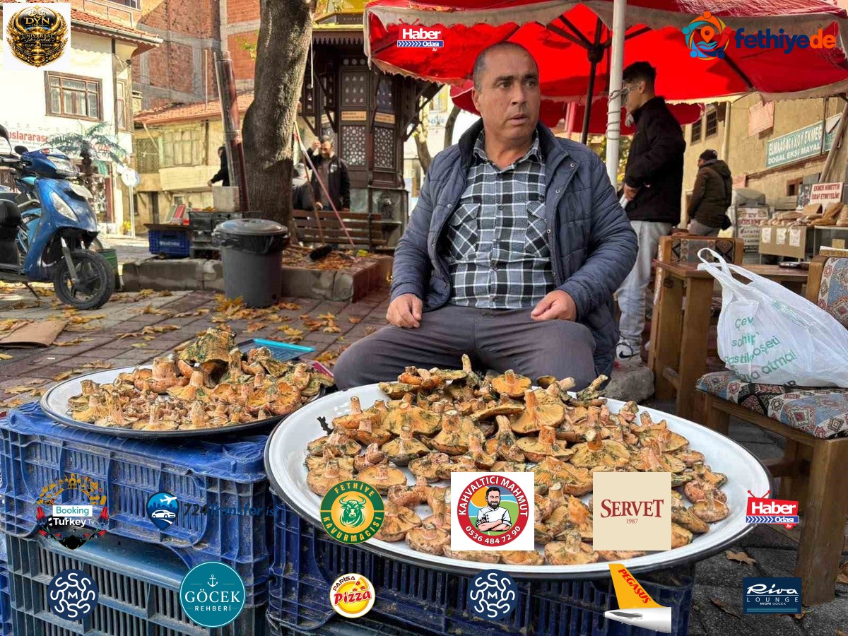 Kütahya Tavşanlı'da dağ mantarı köylü pazarında 350 liradan alıcı buluyor