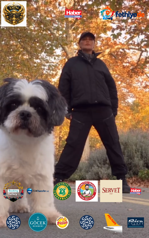 Ön planda sevimli köpeğinin yer aldığı yapay zeka videosu, izleyenlere neşeli anlar yaşattı.