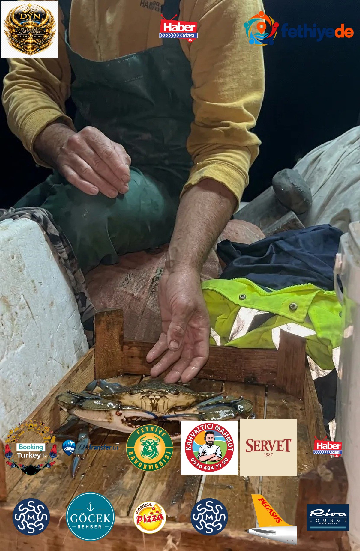 Sinop Ayancık'ta balıkçının ağına Karadeniz'de nadir mavi yengeç takıldı