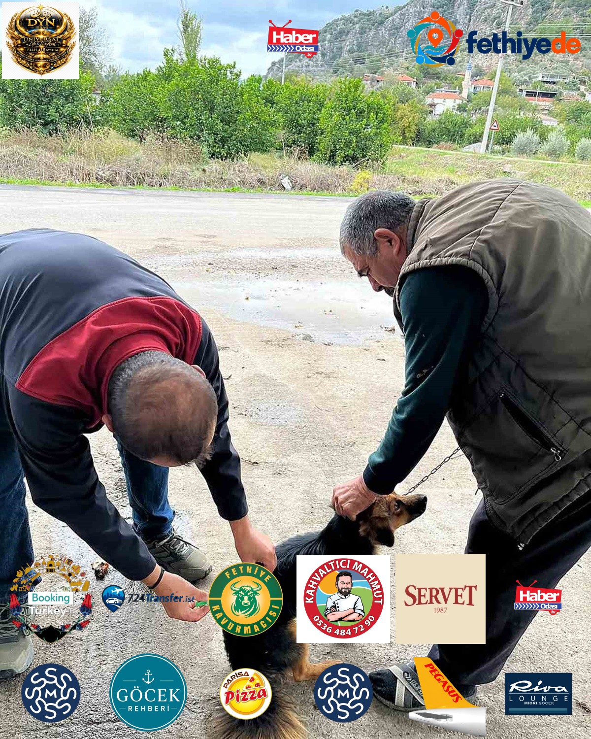 Ortaca Tarım ve Orman Müdürlüğü Karadonlar'da kedi ve köpeklere kuduz aşısı yaptı