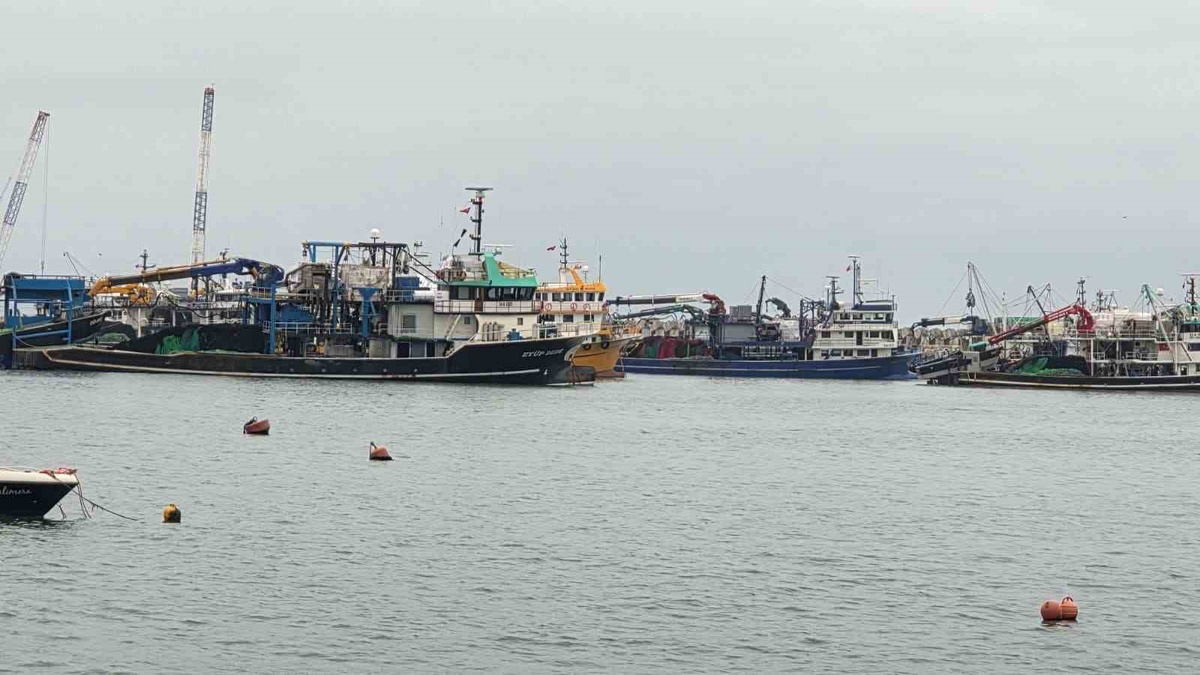 Zonguldak Ereğli'de olumsuz hava balıkçılığı durdurdu, trol gemileri limana sığındı
