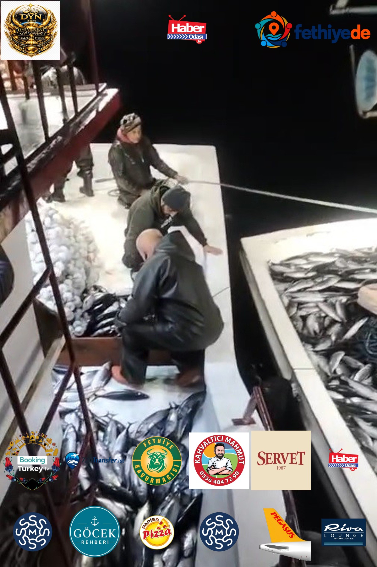 Sinop Ayancık'ta balıkçı Ufuk Yılmaz'ın ağına 5 bin palamut takıldı