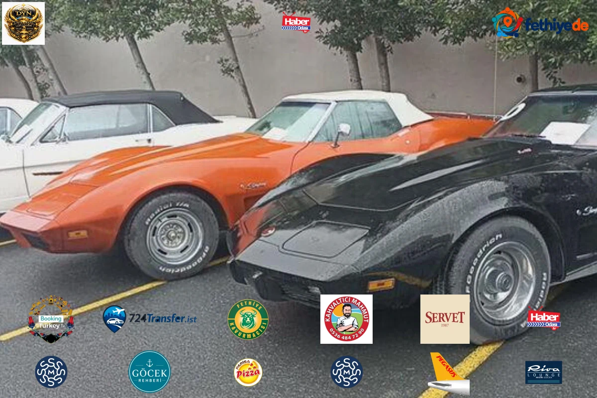 Milyonluk klasik otomobiller hurda araçların ruhsatlarıyla satıldı, polis 61 otomobile el konuldu, 35 kişi gözaltına aldı