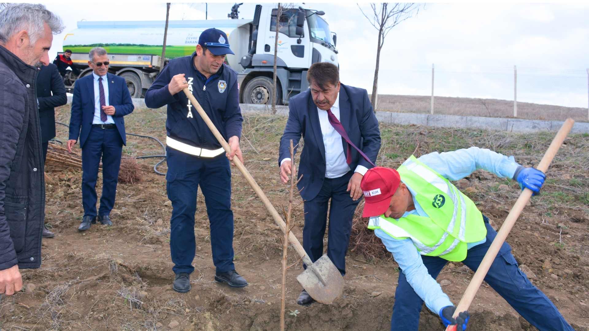 Saraykent belediyesi, 18 mart şehitleri anısına fidan dikti