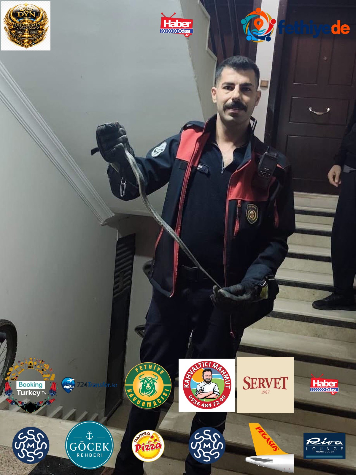 Hatay'ın Defne ilçesinde yakalanan yılan itfaiye tarafından doğaya bırakıldı