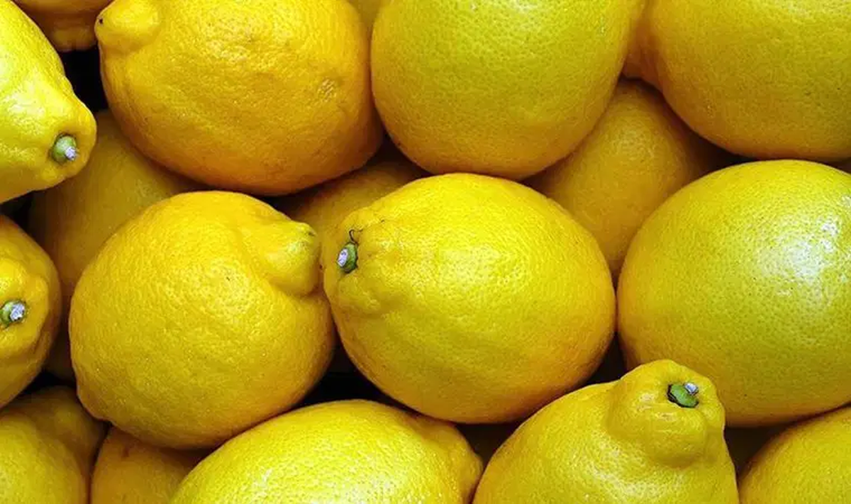 TZOB'un ekim raporunda limonda üretici-market fiyat farkı yüzde 999,2 oldu