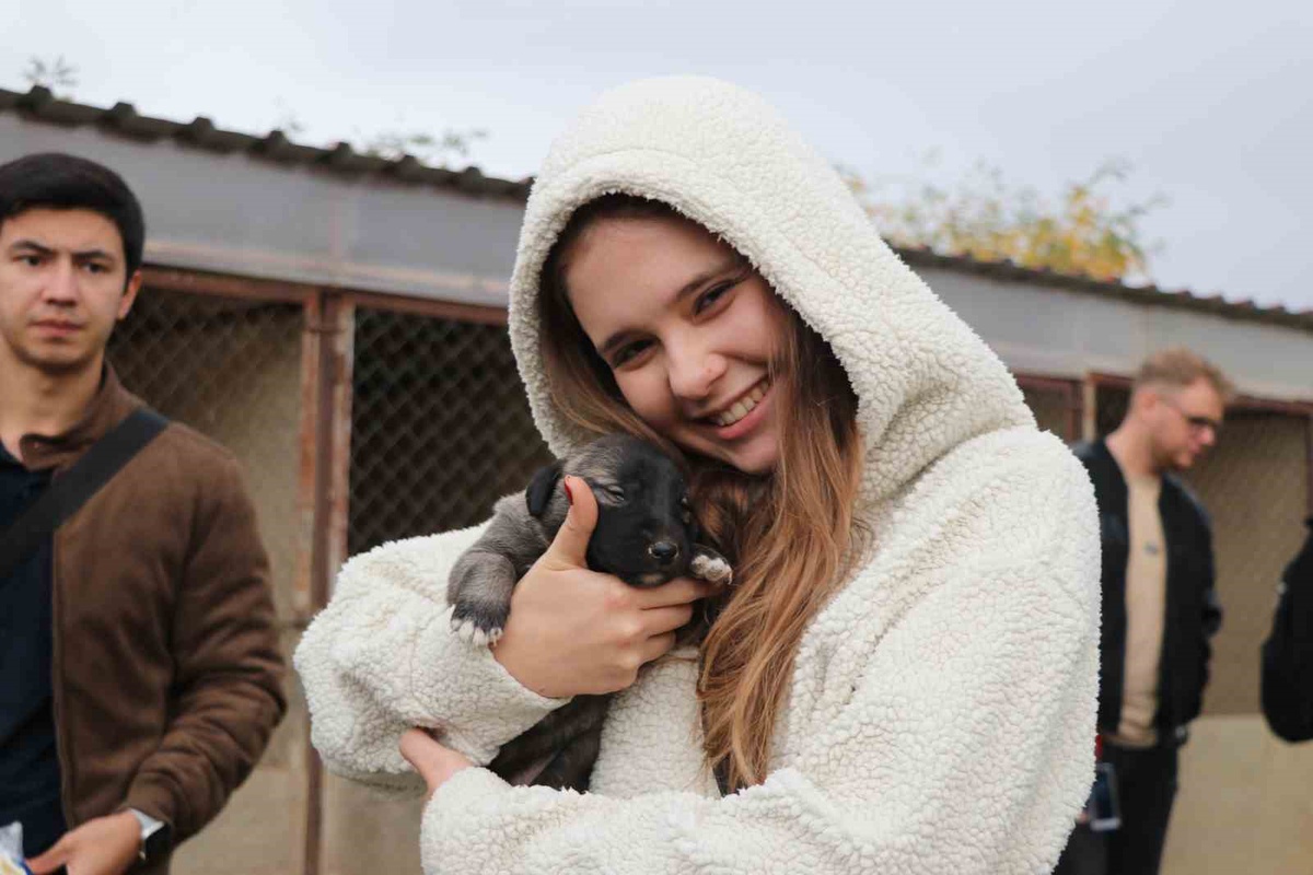 Sivas'ta yabancı öğrenciler kangal yavrularına hayran kaldı, büyüklerden çekindi
