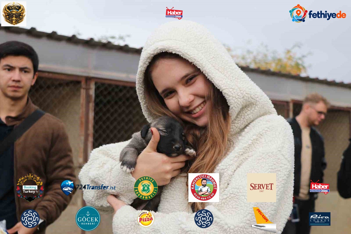 Sivas'ta yabancı öğrenciler kangal yavrularına hayran kaldı, büyüklerden çekindi