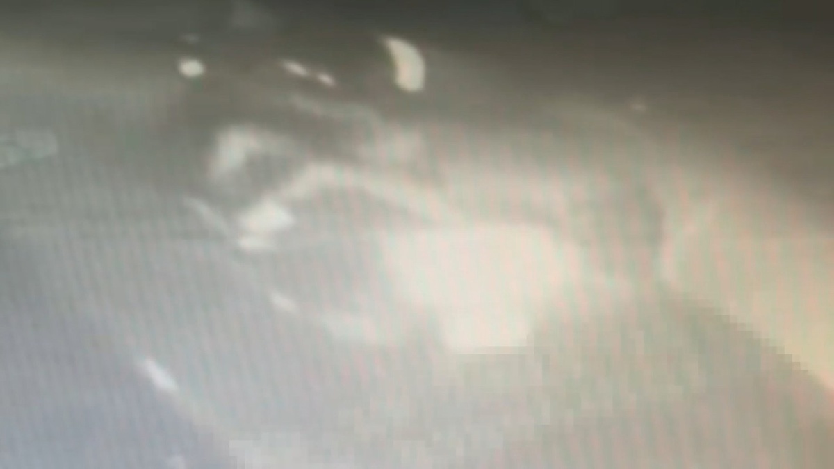 Bağcılar'daki cinayette tetiği çektiği belirlenen şüpheli Çeşme'de yakalandı