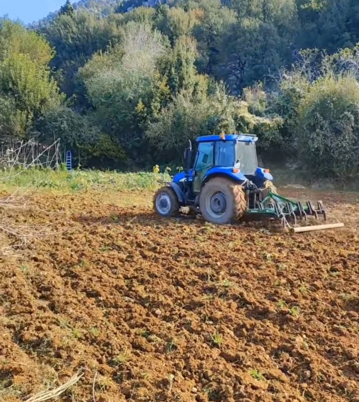 Kahramanmaraş Andırın'da yağışlar toprağa nem sağladı, çiftçiler buğday ekti