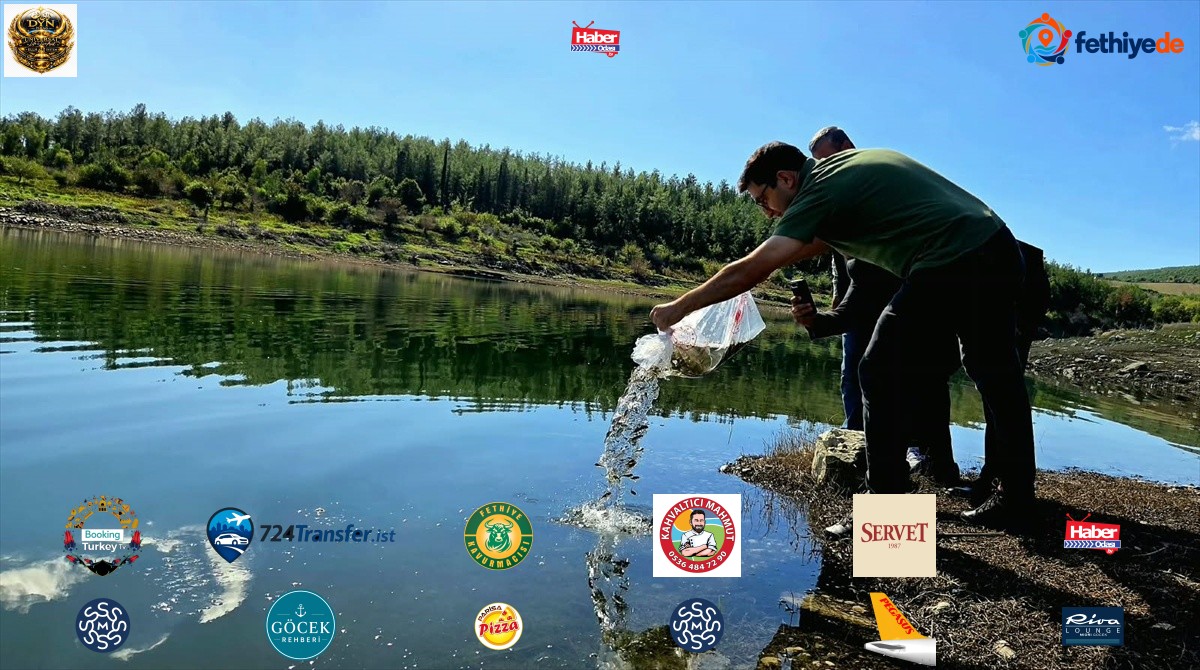 Osmaniye'nin Sumbas ilçesinde Mehmetli Baraj Gölü'ne 50 bin sazan yavrusu bırakıldı