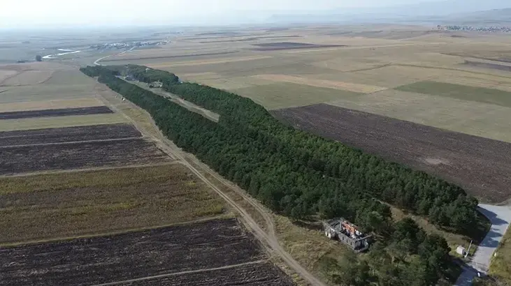 55 yıllık hikaye! Her şey yoğun kar yağışıyla başladı
