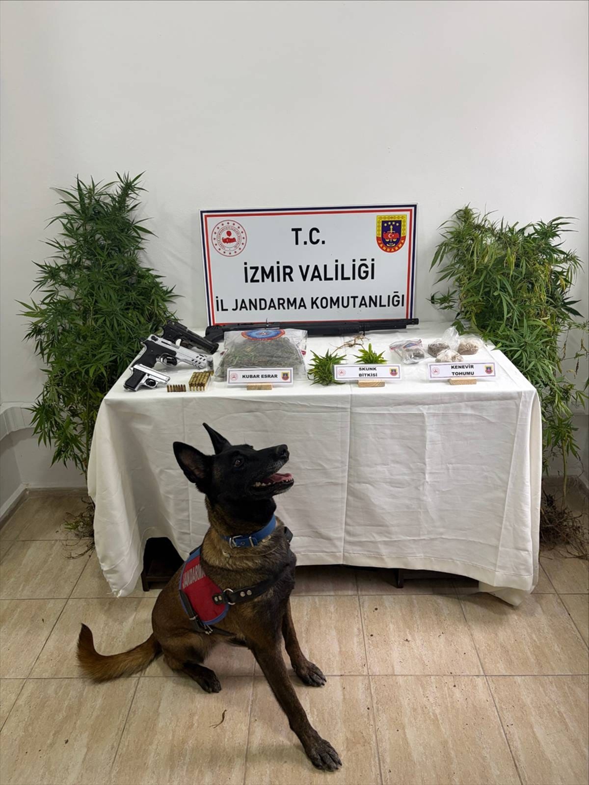 İzmir Karaburun'da operasyonda 2 şüpheli gözaltına alındı, 280 gram esrar bulundu